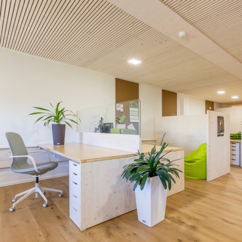 From cubicle box to green and dreamy woodland office